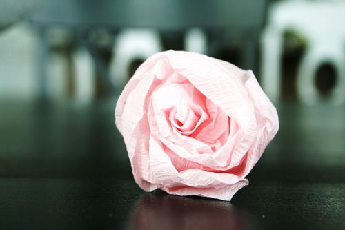 fotografia da flor de papel crepom finalizada