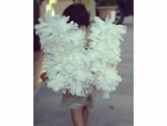 Como Fazer Asas de Anjo para Fantasia passo a passo