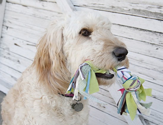 brinquedo-para-cachorro-5