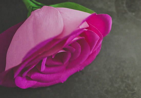 Rosa de papel crepom - PAP