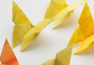 flores-de-papel-com-origami-passo-a-passo-capa Borboletas de Papel com Origami Passo a Passo