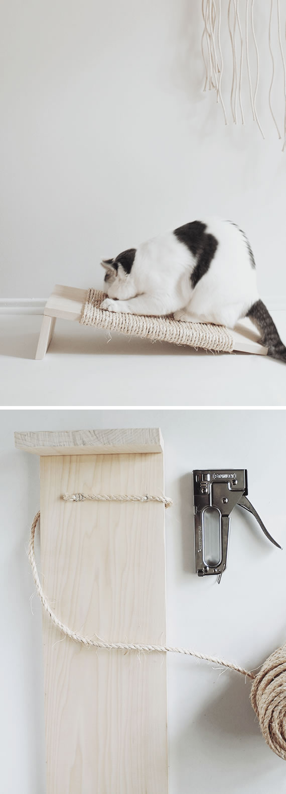 Faça Você Mesmo 10 Arranhadores Caseiros para Gatos