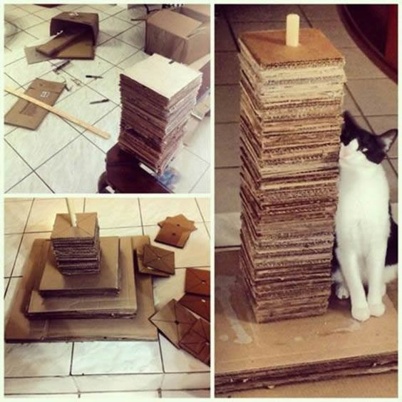 10 Arranhadores Caseiros para Gatos passo a passo