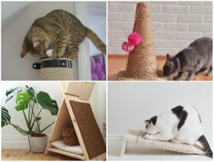 arranhador-para-gato-passo-a-passo-capa-2 10 Arranhadores Caseiros para Gatos passo a passo
