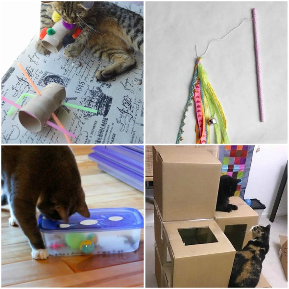 Como Fazer Brinquedos para Gatos - 10 Ideias Divertidas