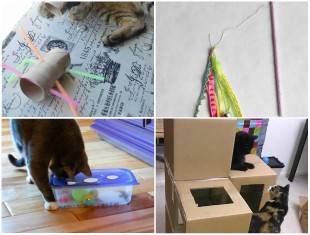 brinquedo-para-gato-passo-a-passo-capa-2 Como Fazer Brinquedos para os Gatinhos - 10 Ideias