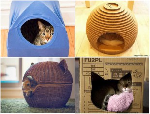 casinha-para-gatos-passo-a-passo-capa-2 Como Fazer Casinha para Gatos passo a passo - 10 Ideias Lindas