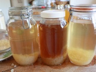 como fazer kefir em casa