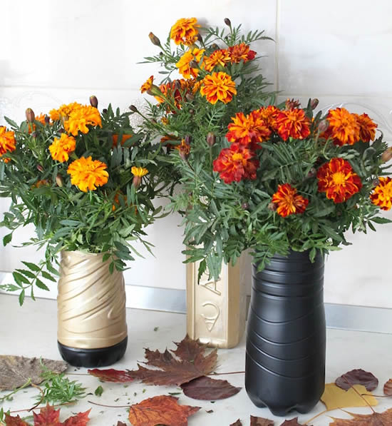 Ideias Sustentáveis para fazer Vasos de Plantas