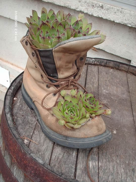 Vasos criativos com sapatos velhos