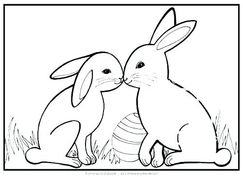 Coelhinhos da páscoa para colorir