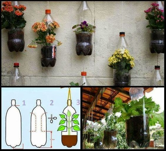 projeto de jardim vertical de garrafa pet