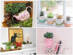 suculentas-para-decoracao-da-casa-capa-2 Plantas Suculentas para Decoração da Casa