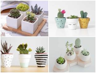 Mini Suculentas em Vasinhos