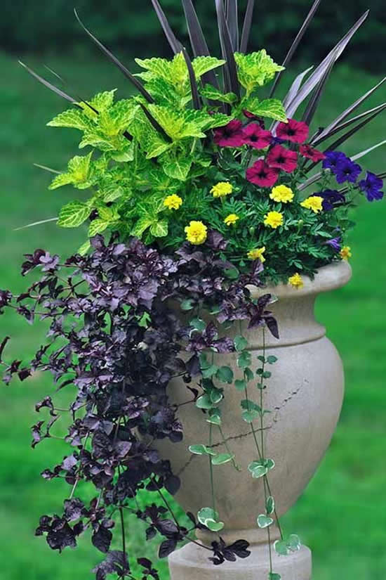 Linda decoração com flores para jardim