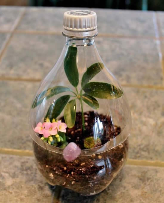 Veja inspirações para vasos de garrafa PET