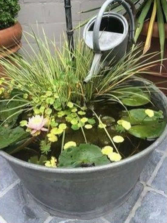 Lago improvisado de jardim