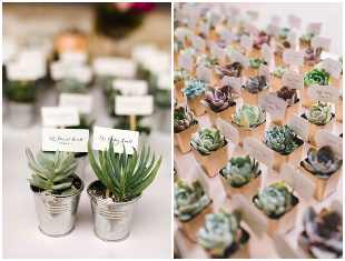 lembrancinha-de-casamento-com-mini-suculenta-capa-2 Lembrancinhas com mini suculentas