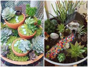 mini-jardim-com-suculentas-lindas-capa-2 Mini jardim com suculentas
