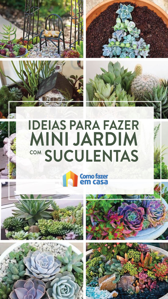 Mini jardim com suculentas