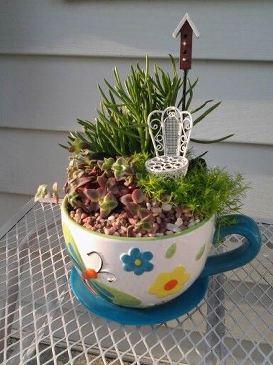 Plante mini suculentas em xícaras
