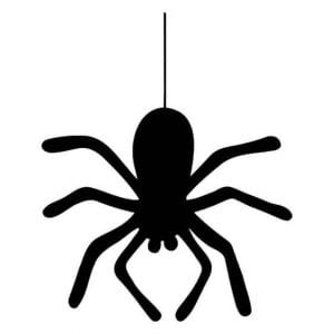 Moldes de aranha para Dia das Bruxas - Como fazer em casa
