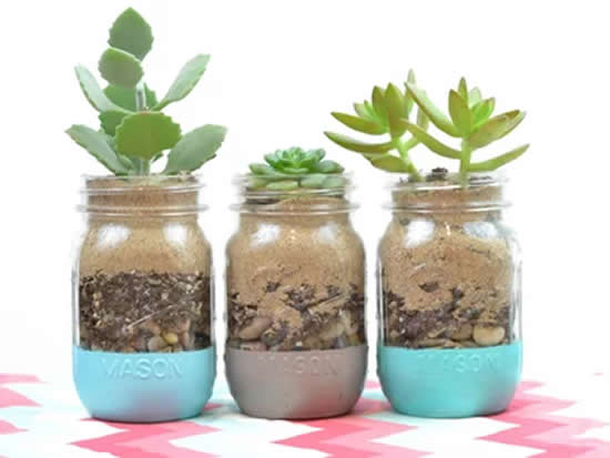 Terrários lindos com suculentas e potes de vidro